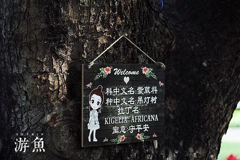 切实把为民服务放在工作首位