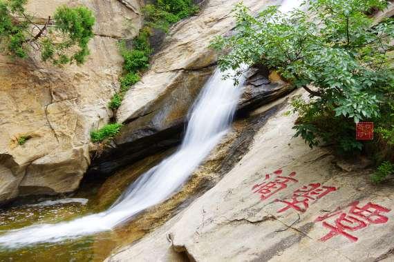 母绣眼鸟求爱怎么叫游戏画面